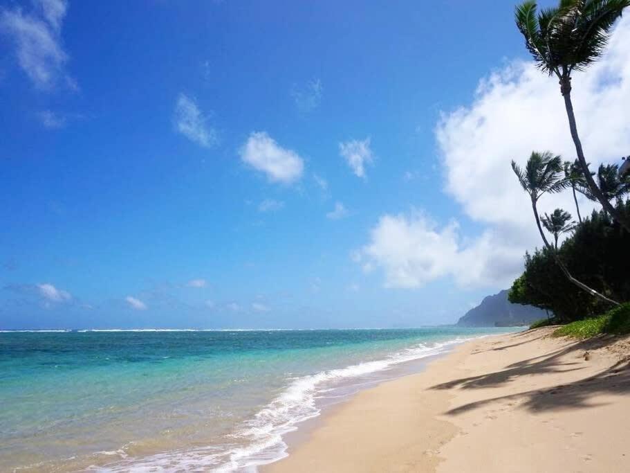 Luxury Beachfront Condo Hau'ula Esterno foto
